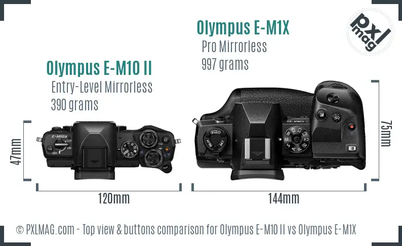 Olympus E-M10 II vs Olympus E-M1X top view buttons comparison