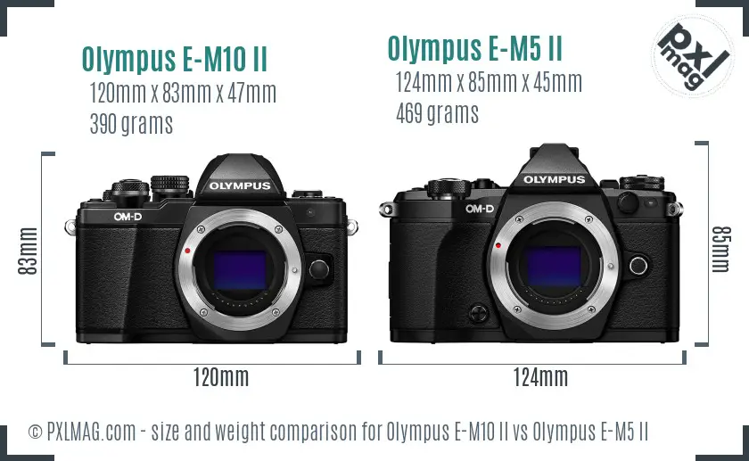 Olympus E-M10 II vs Olympus E-M5 II size comparison