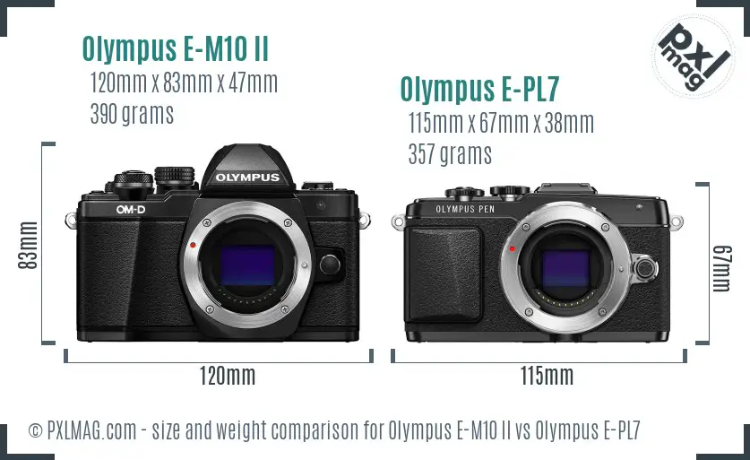 Olympus E-M10 II vs Olympus E-PL7 size comparison
