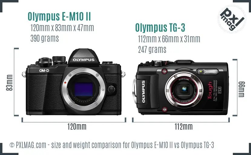 Olympus E-M10 II vs Olympus TG-3 size comparison