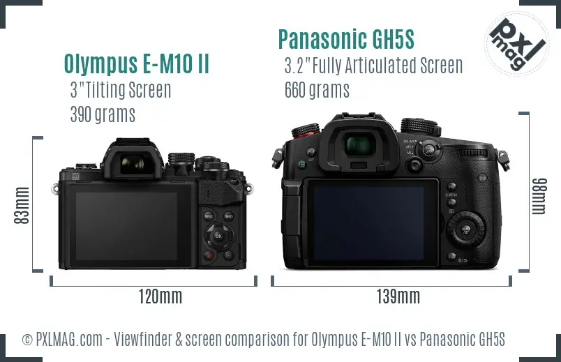 Olympus E-M10 II vs Panasonic GH5S Screen and Viewfinder comparison
