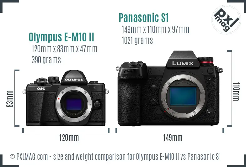 Olympus E-M10 II vs Panasonic S1 size comparison
