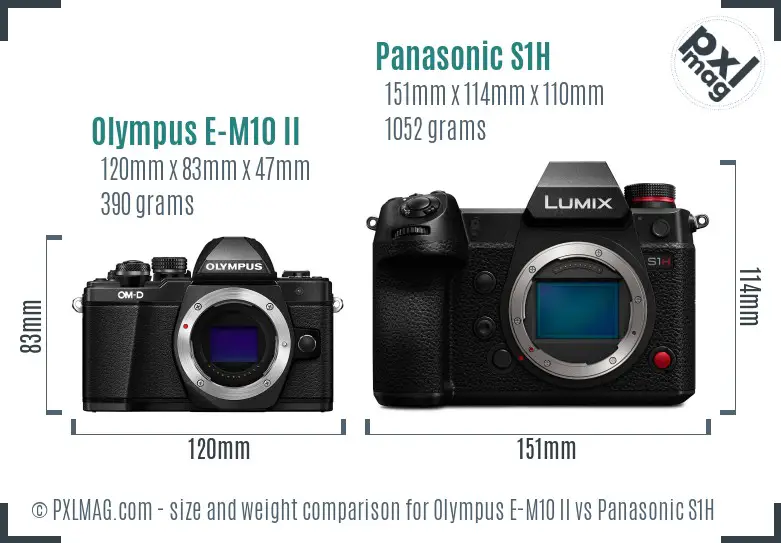 Olympus E-M10 II vs Panasonic S1H size comparison