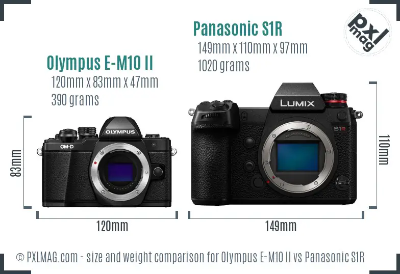 Olympus E-M10 II vs Panasonic S1R size comparison
