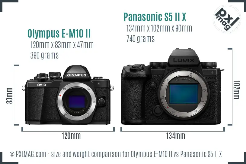 Olympus E-M10 II vs Panasonic S5 II X size comparison