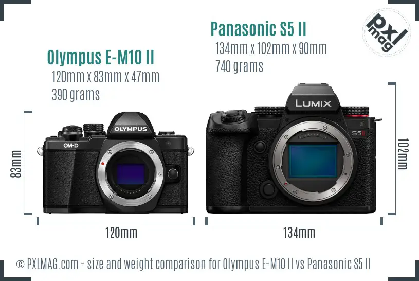 Olympus E-M10 II vs Panasonic S5 II size comparison