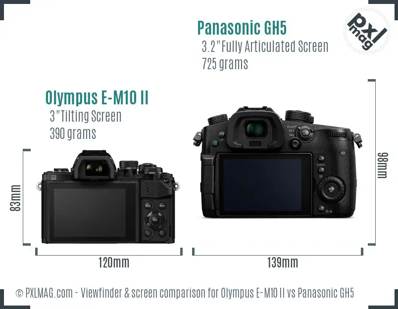 Olympus E-M10 II vs Panasonic GH5 Screen and Viewfinder comparison