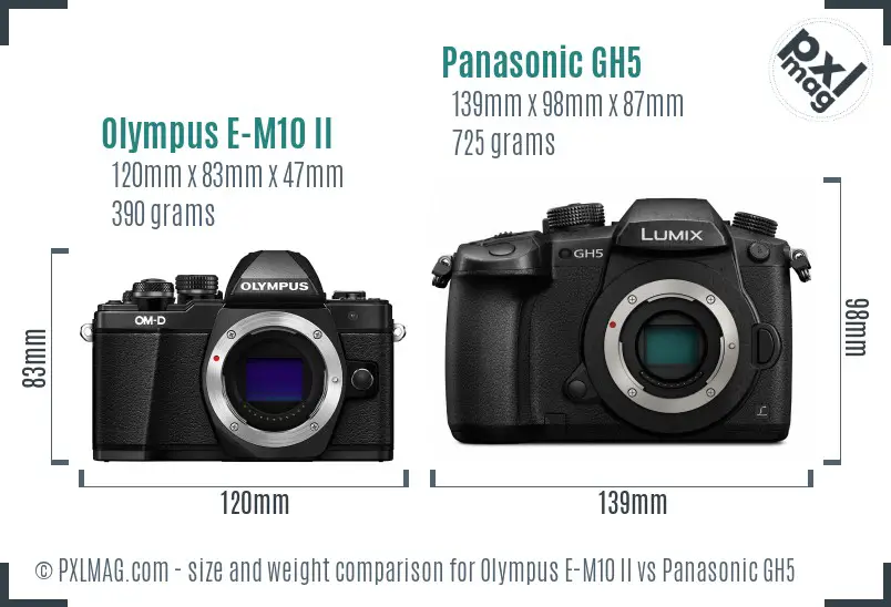 Olympus E-M10 II vs Panasonic GH5 size comparison