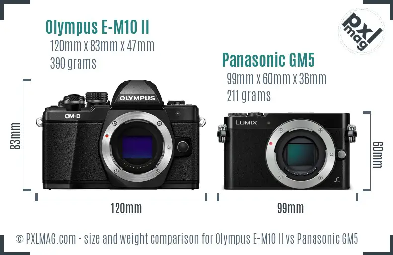 Olympus E-M10 II vs Panasonic GM5 size comparison