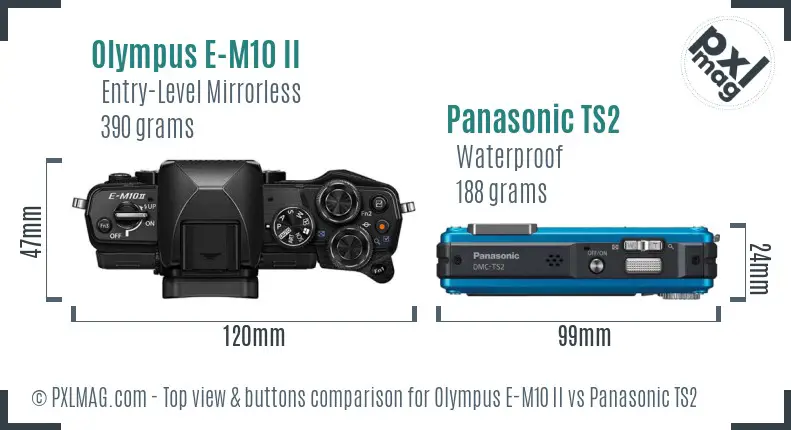 Olympus E-M10 II vs Panasonic TS2 top view buttons comparison