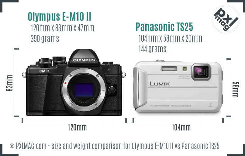 Olympus E-M10 II vs Panasonic TS25 size comparison