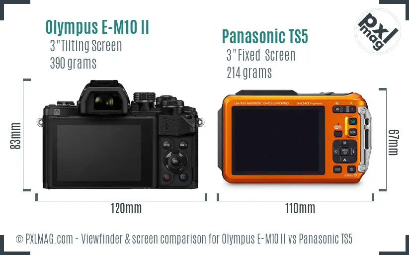 Olympus E-M10 II vs Panasonic TS5 Screen and Viewfinder comparison