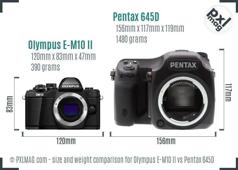 Olympus E-M10 II vs Pentax 645D size comparison
