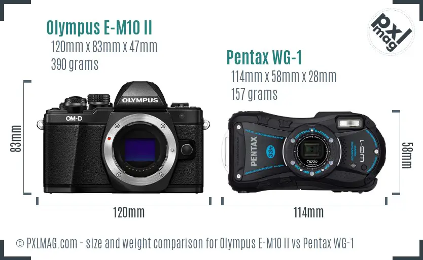 Olympus E-M10 II vs Pentax WG-1 size comparison