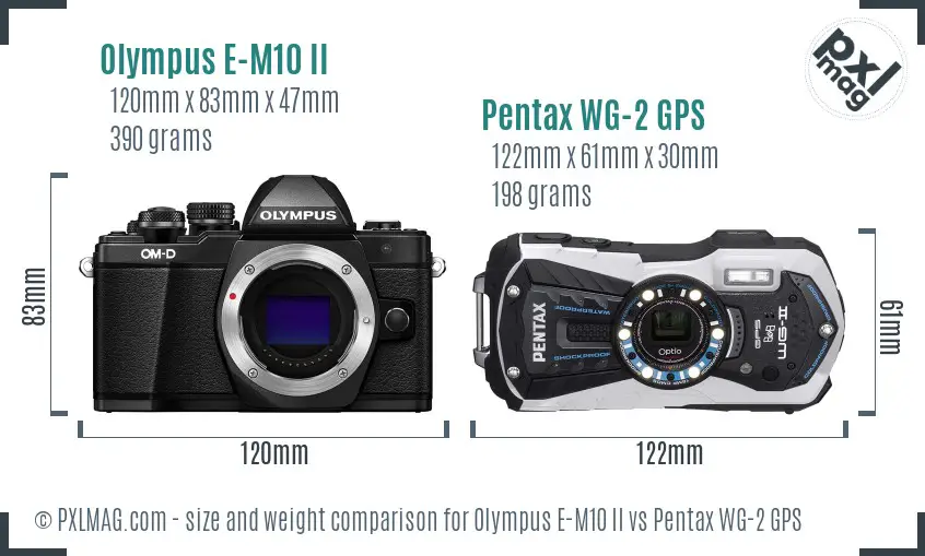 Olympus E-M10 II vs Pentax WG-2 GPS size comparison