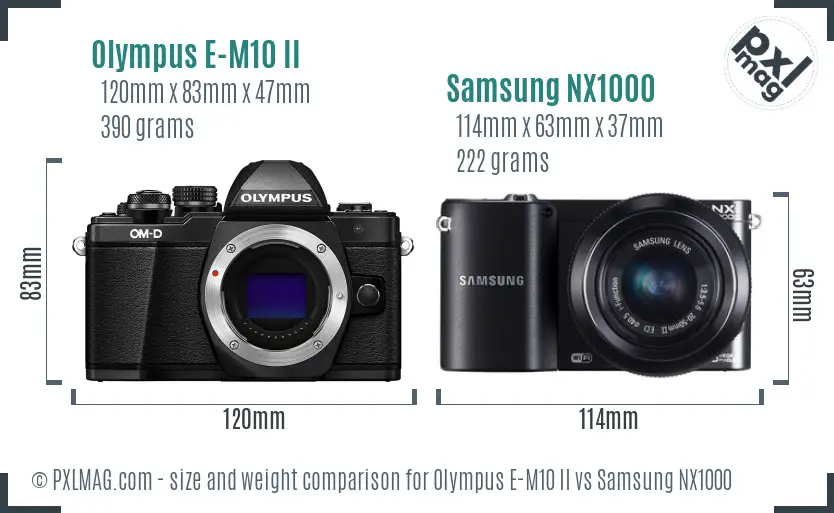 Olympus E-M10 II vs Samsung NX1000 size comparison