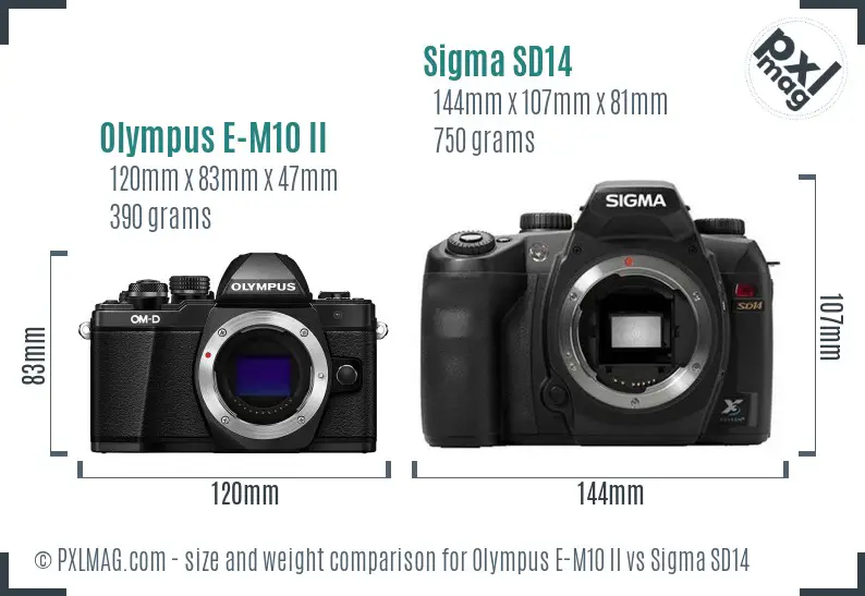 Olympus E-M10 II vs Sigma SD14 size comparison