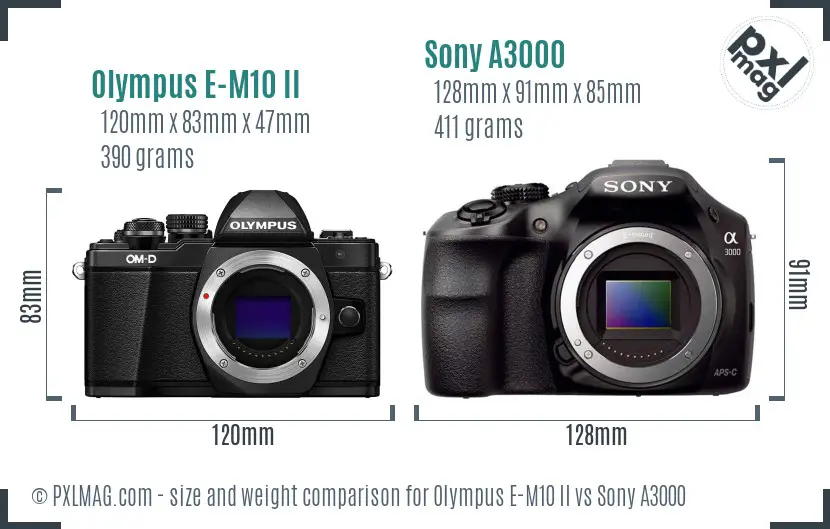 Olympus E-M10 II vs Sony A3000 size comparison
