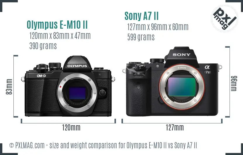 Olympus E-M10 II vs Sony A7 II size comparison