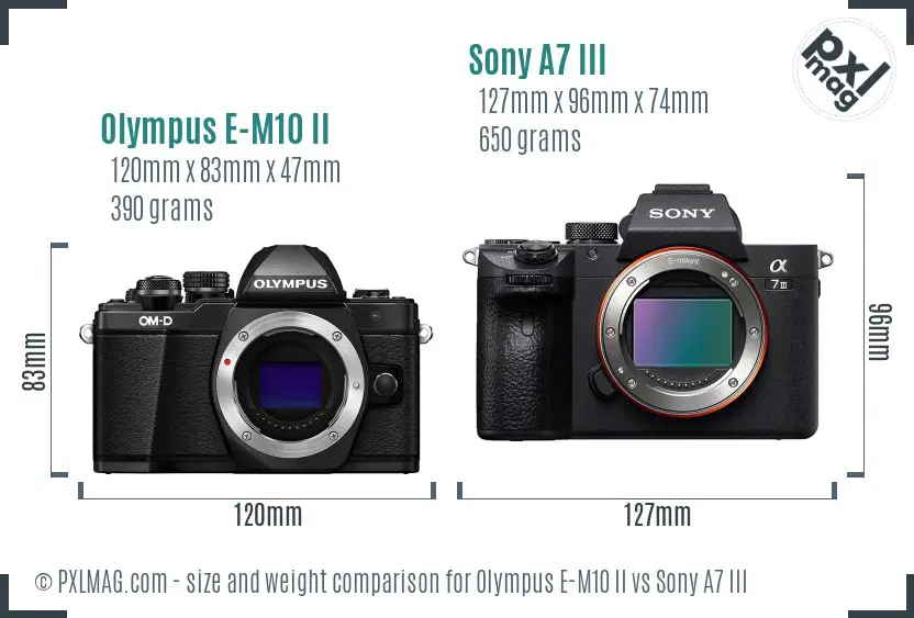 Olympus E-M10 II vs Sony A7 III size comparison