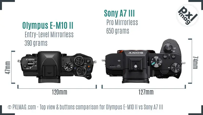 Olympus E-M10 II vs Sony A7 III top view buttons comparison