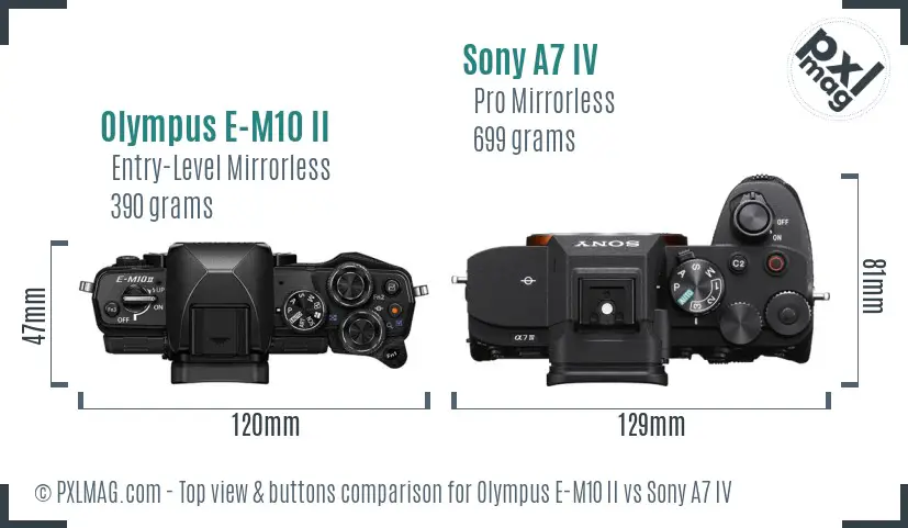 Olympus E-M10 II vs Sony A7 IV top view buttons comparison Olympus E-M10 II vs Sony A7 IV top view buttons comparison