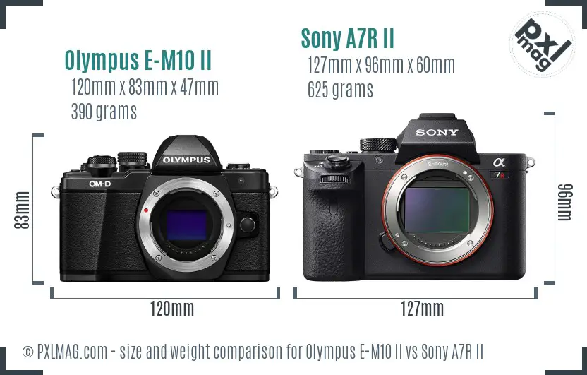 Olympus E-M10 II vs Sony A7R II size comparison