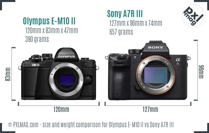 Olympus E-M10 II vs Sony A7R III size comparison