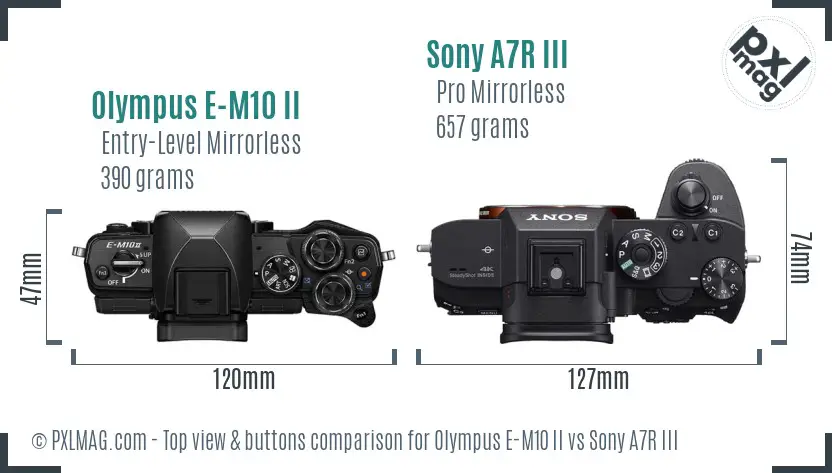 Olympus E-M10 II vs Sony A7R III top view buttons comparison