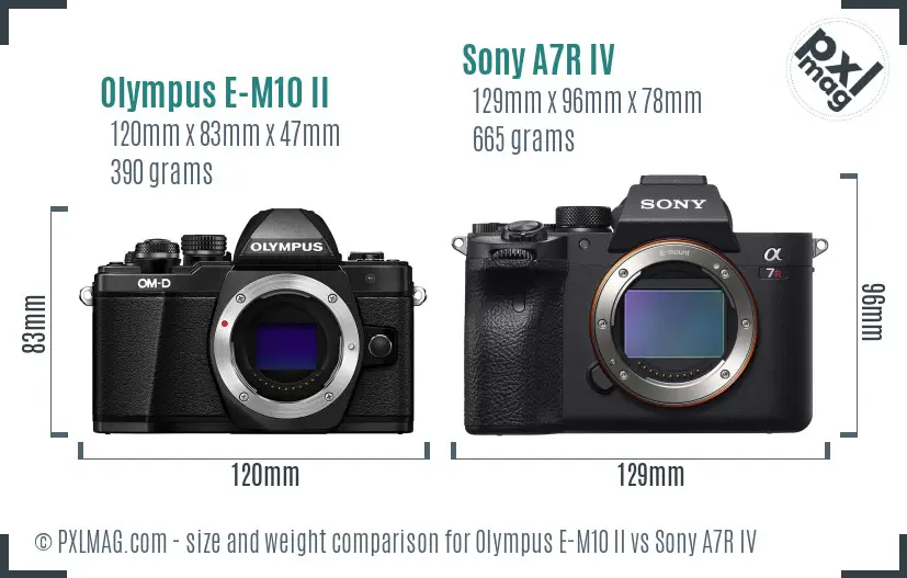 Olympus E-M10 II vs Sony A7R IV size comparison