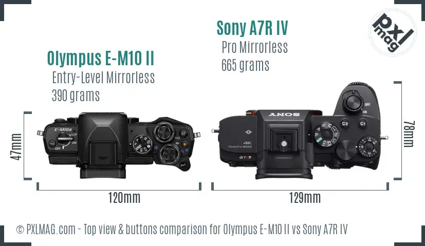 Olympus E-M10 II vs Sony A7R IV top view buttons comparison