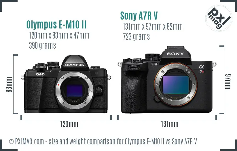 Olympus E-M10 II vs Sony A7R V size comparison