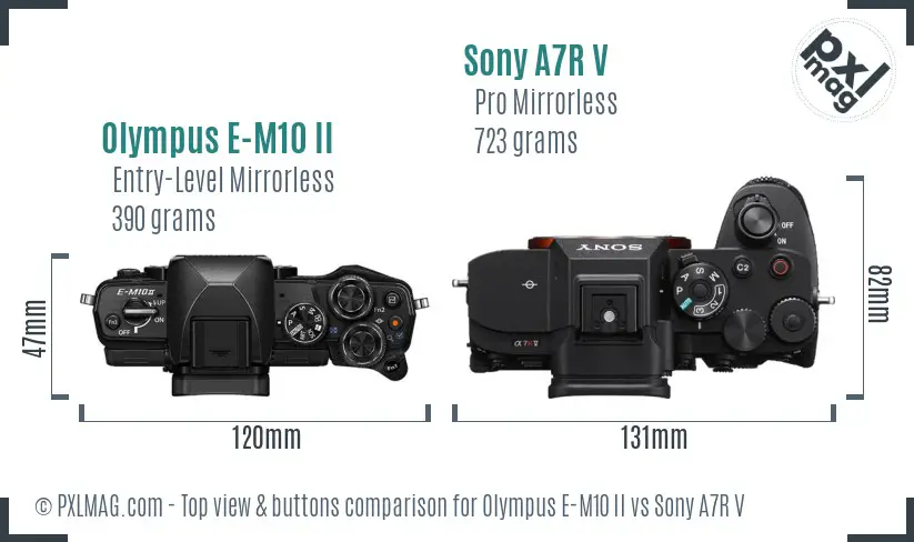 Olympus E-M10 II vs Sony A7R V top view buttons comparison
