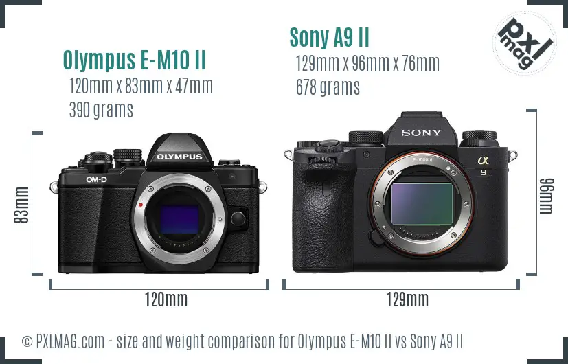 Olympus E-M10 II vs Sony A9 II size comparison