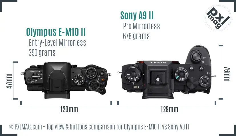 Olympus E-M10 II vs Sony A9 II top view buttons comparison