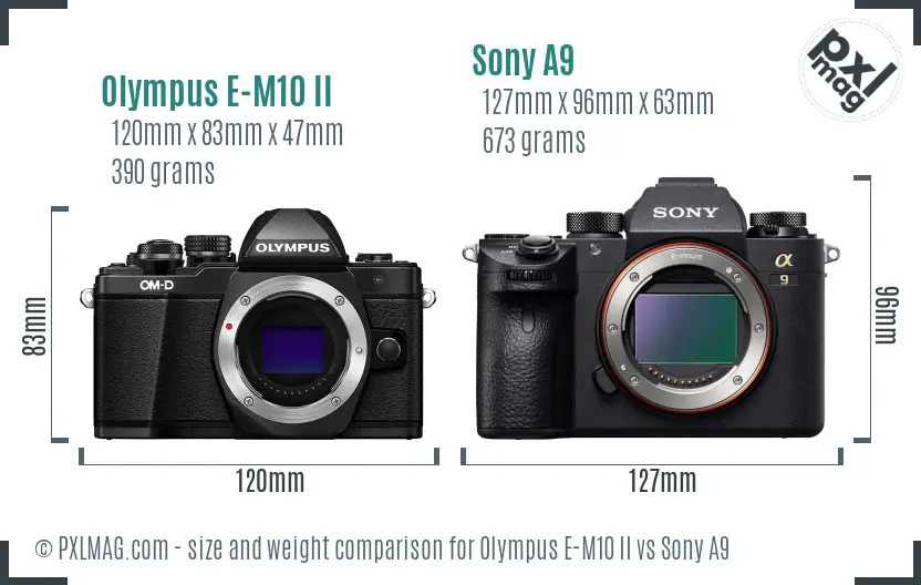 Olympus E-M10 II vs Sony A9 size comparison