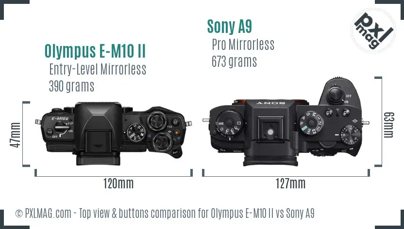 Olympus E-M10 II vs Sony A9 top view buttons comparison