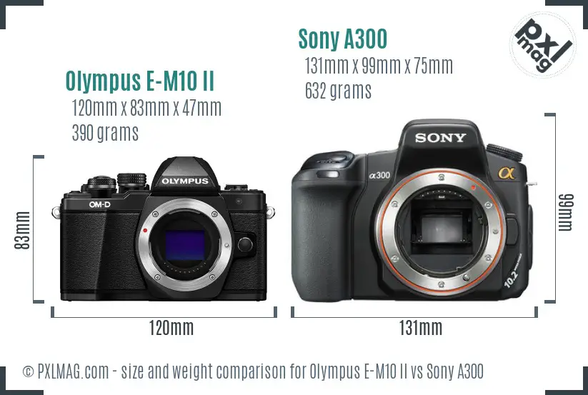 Olympus E-M10 II vs Sony A300 size comparison