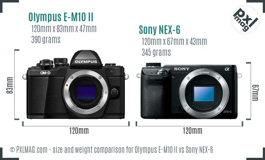 Olympus E-M10 II vs Sony NEX-6 size comparison