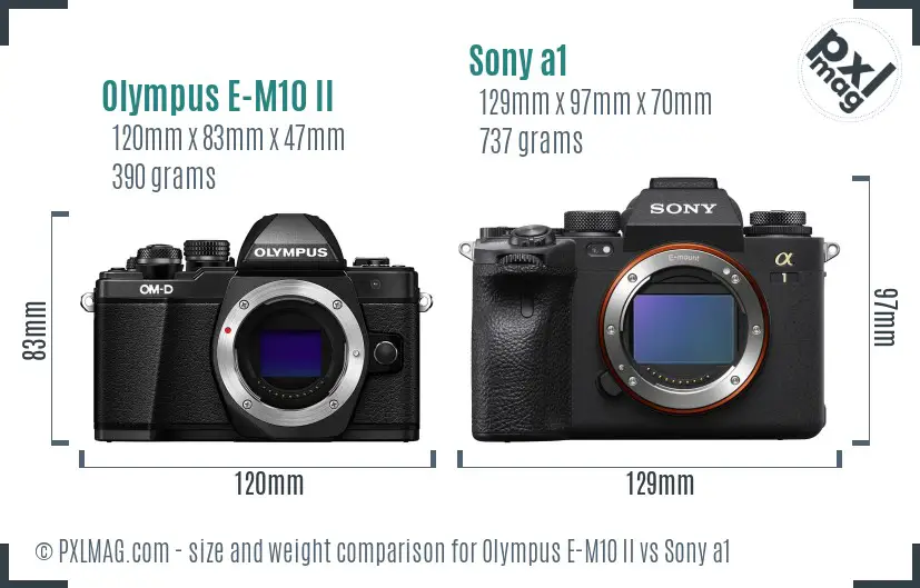 Olympus E-M10 II vs Sony a1 size comparison