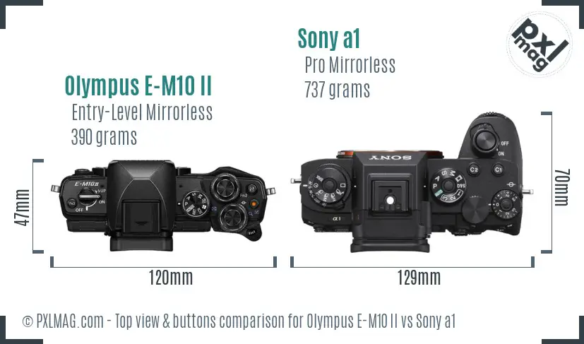 Olympus E-M10 II vs Sony a1 top view buttons comparison