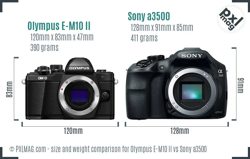 Olympus E-M10 II vs Sony a3500 size comparison
