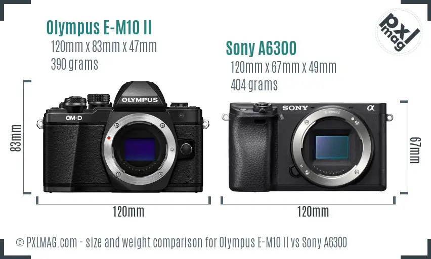 Olympus E-M10 II vs Sony A6300 size comparison