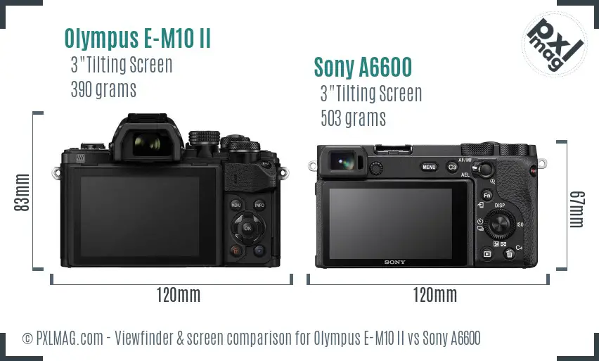 Olympus E-M10 II vs Sony A6600 Screen and Viewfinder comparison