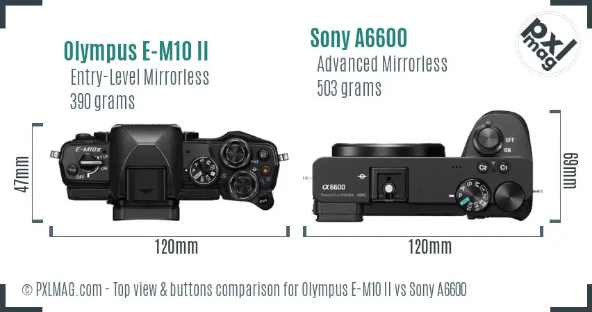 Olympus E-M10 II vs Sony A6600 top view buttons comparison
