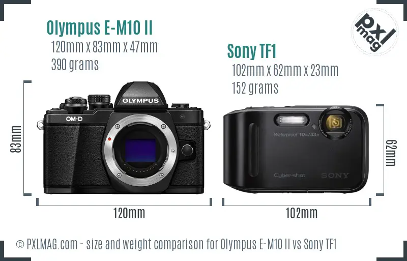 Olympus E-M10 II vs Sony TF1 size comparison