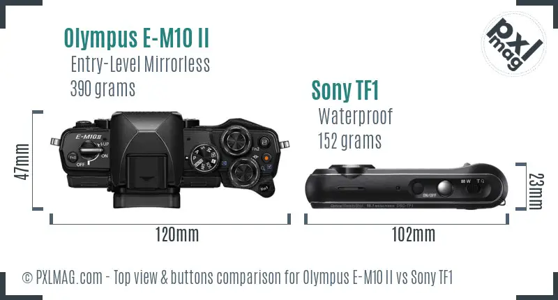 Olympus E-M10 II vs Sony TF1 top view buttons comparison