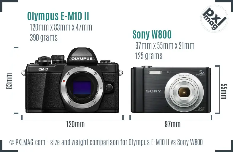 Olympus E-M10 II vs Sony W800 size comparison
