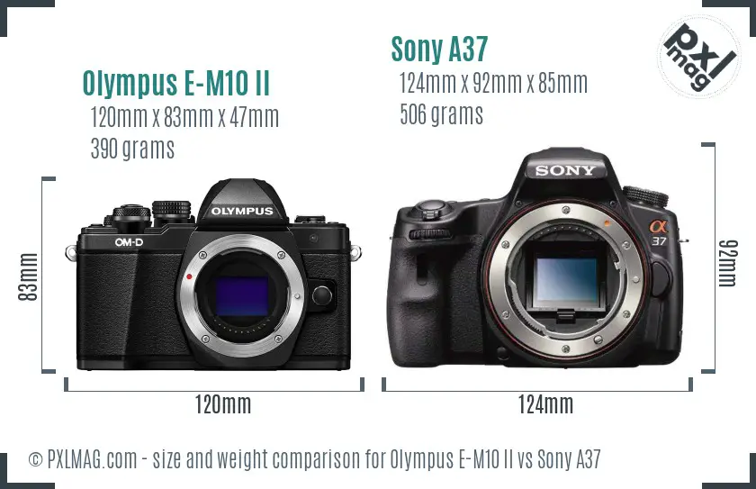 Olympus E-M10 II vs Sony A37 size comparison