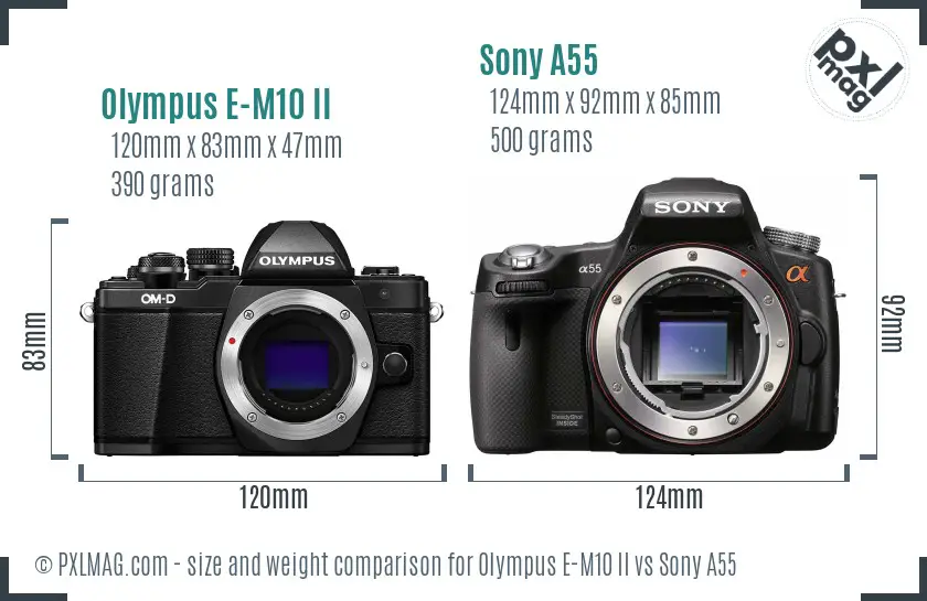 Olympus E-M10 II vs Sony A55 size comparison